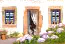 porte aux chats / door with cats